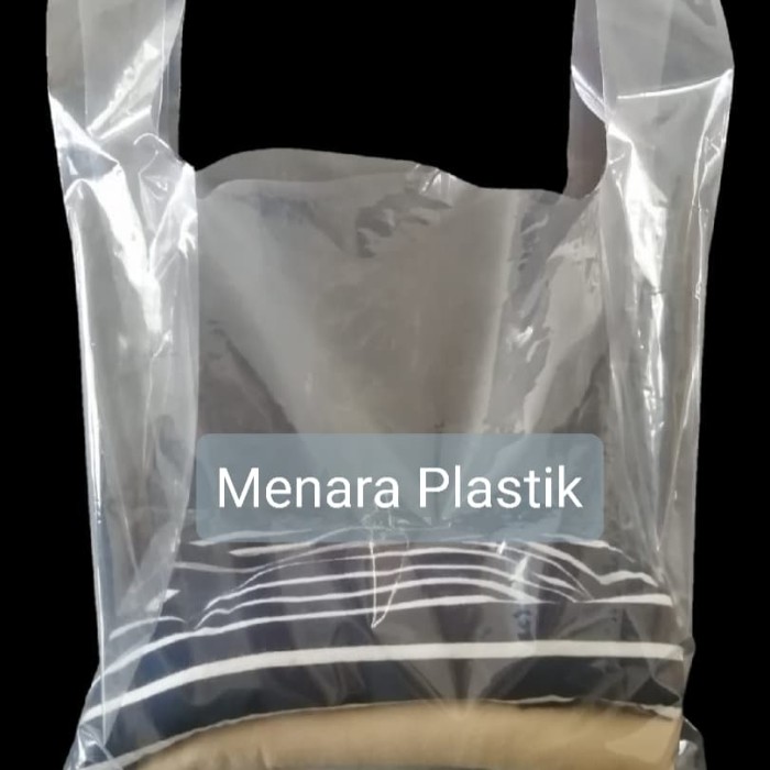 Detail Gambar Kantong Plastik Nomer 46