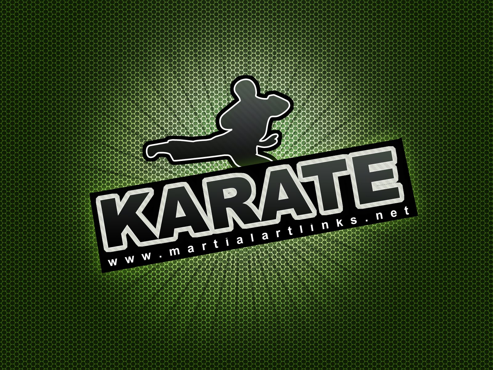 Detail Gambar Karate Keren Nomer 31