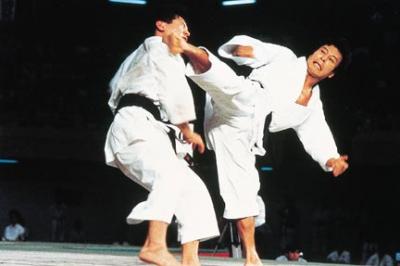 Detail Gambar Karate Keren Nomer 48