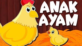 Detail Gambar Karikatur Anak Ayam Nomer 3