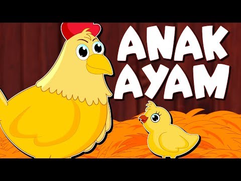 Detail Gambar Karikatur Ayam Lucu Nomer 13