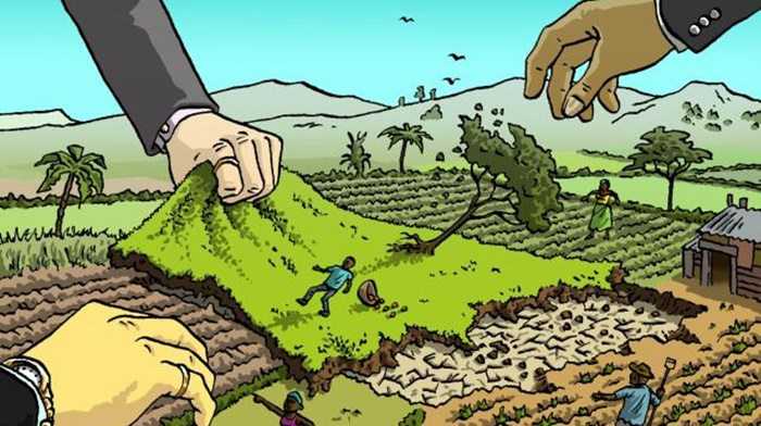 Detail Gambar Karikatur Bertani Nomer 23
