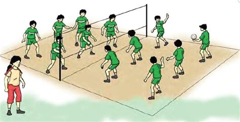 Detail Gambar Karikatur Bola Volly Nomer 56