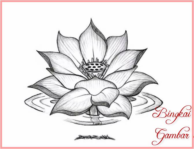 Detail Gambar Karikatur Bunga Lotus Nomer 15