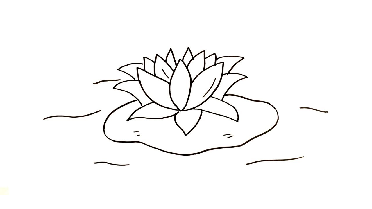 Detail Gambar Karikatur Bunga Lotus Nomer 37