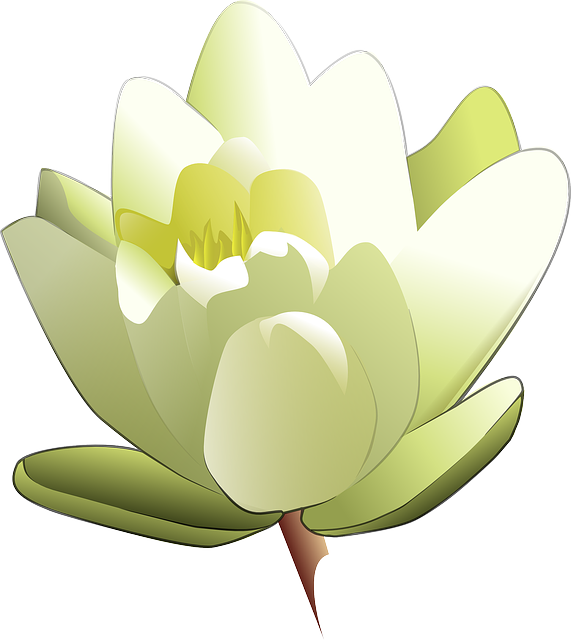 Detail Gambar Karikatur Bunga Lotus Nomer 42