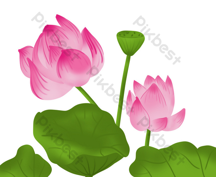 Detail Gambar Karikatur Bunga Lotus Nomer 49