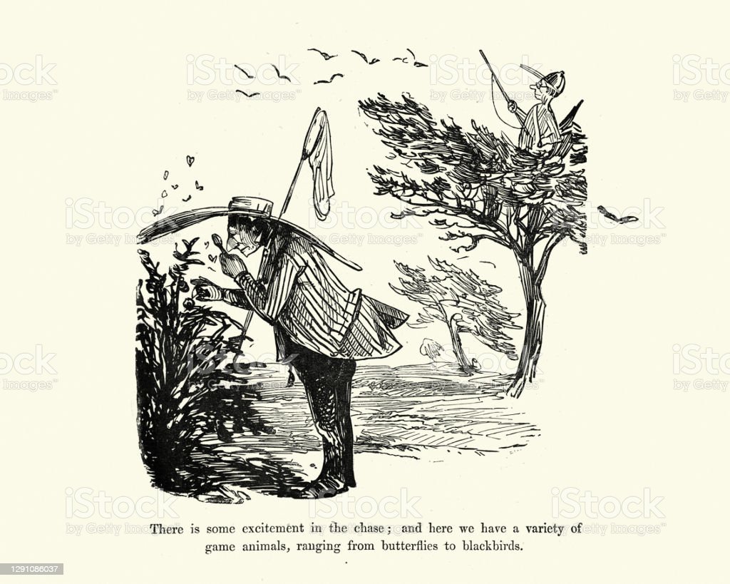 Detail Gambar Karikatur Burung Nomer 33