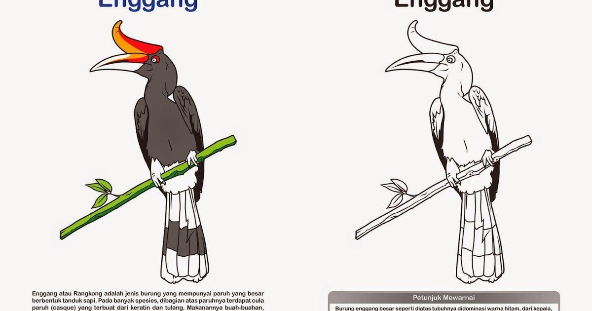 Detail Gambar Karikatur Burung Nomer 41