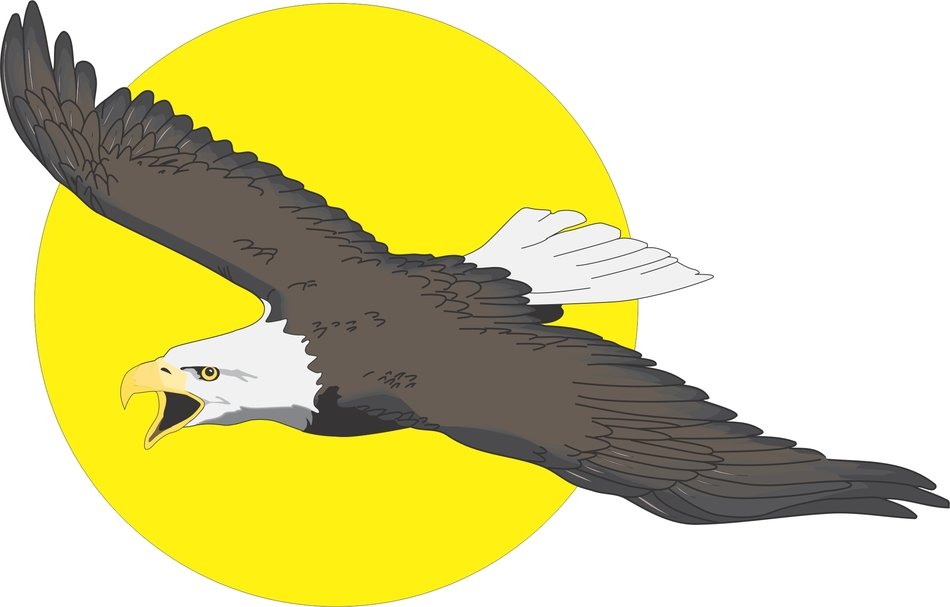 Detail Gambar Karikatur Burung Elang Nomer 26