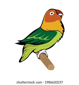 Detail Gambar Karikatur Burung Lovebird Nomer 50