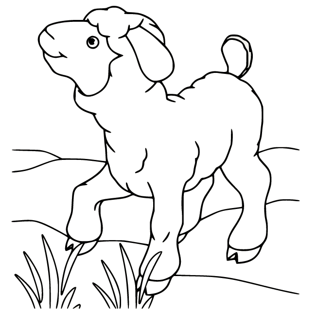 Detail Gambar Karikatur Domba Nomer 30