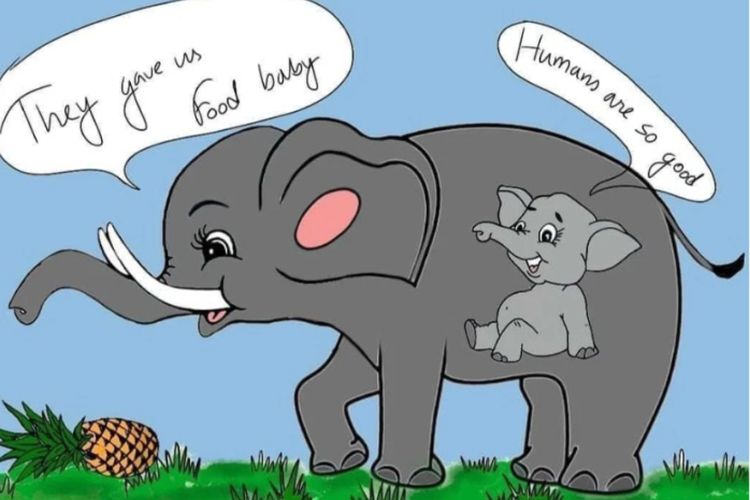 Detail Gambar Karikatur Gajah Nomer 11