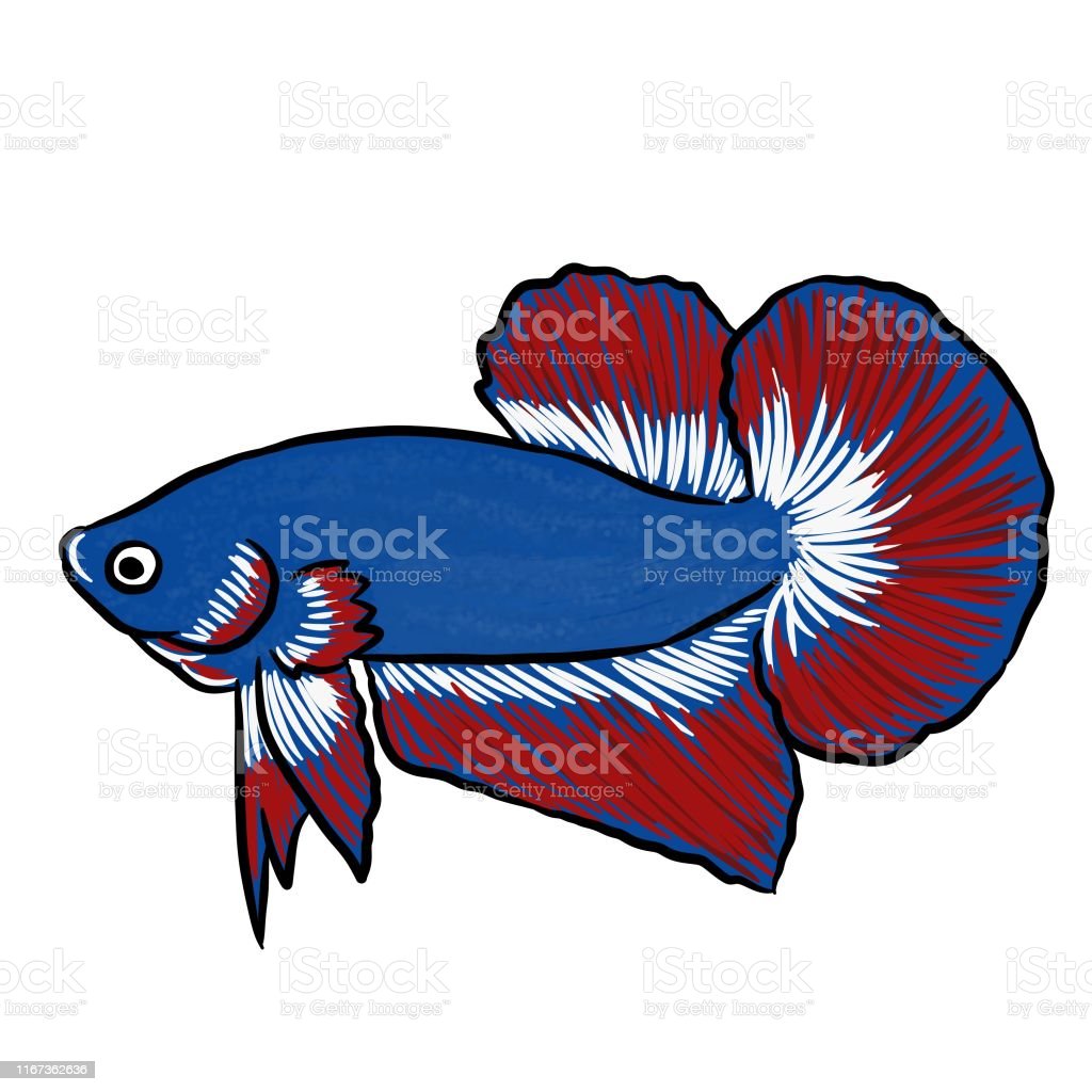 Detail Gambar Karikatur Ikan Nomer 21
