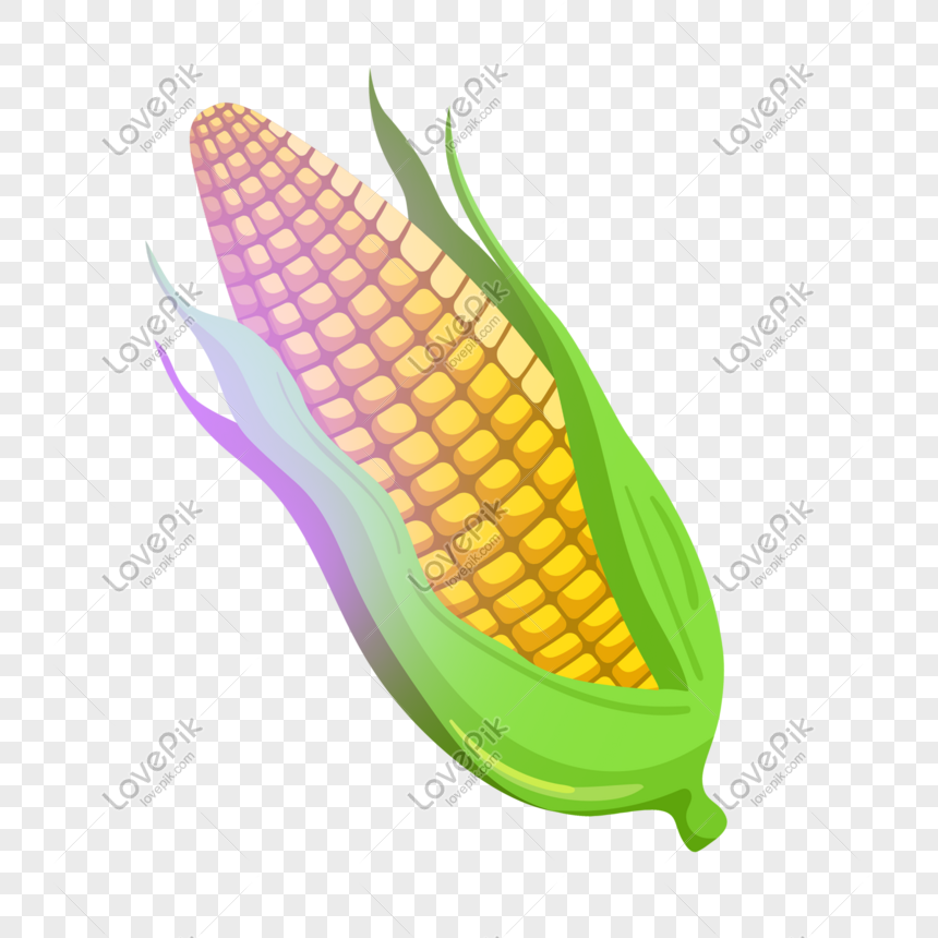 Detail Gambar Karikatur Jagung Nomer 11