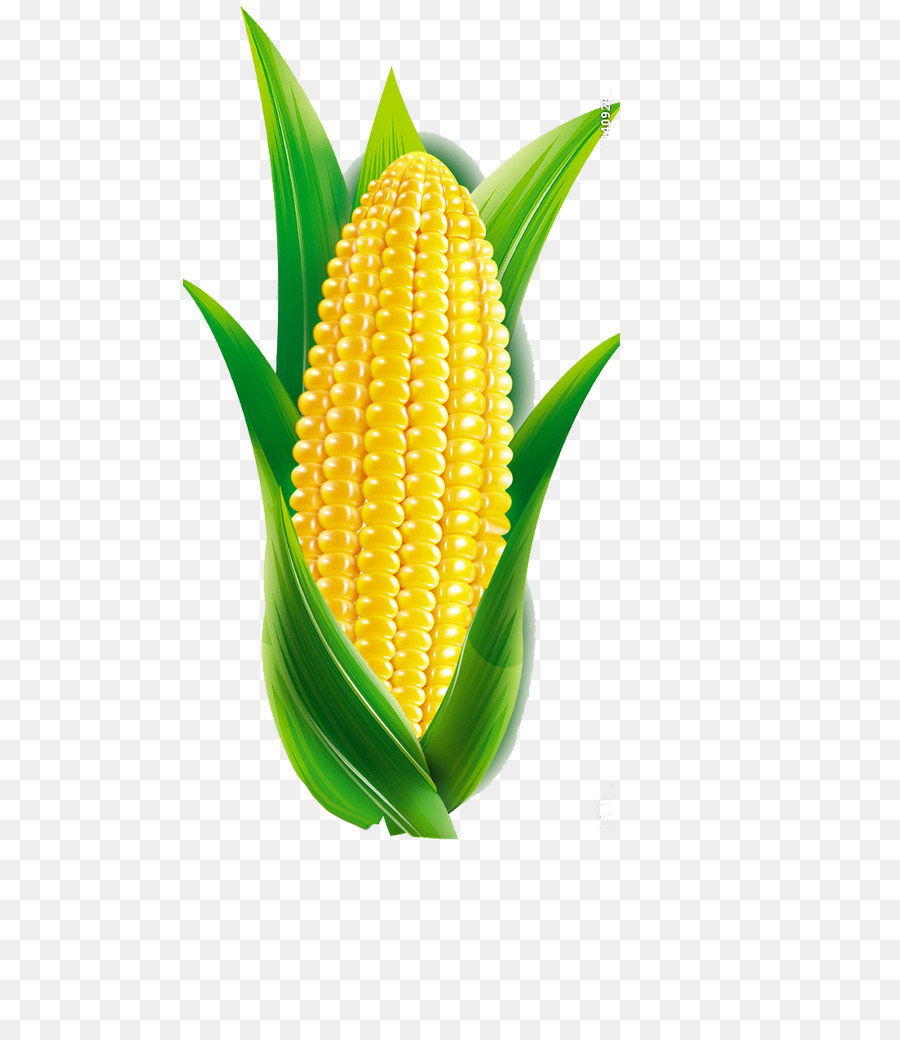 Detail Gambar Karikatur Jagung Nomer 14