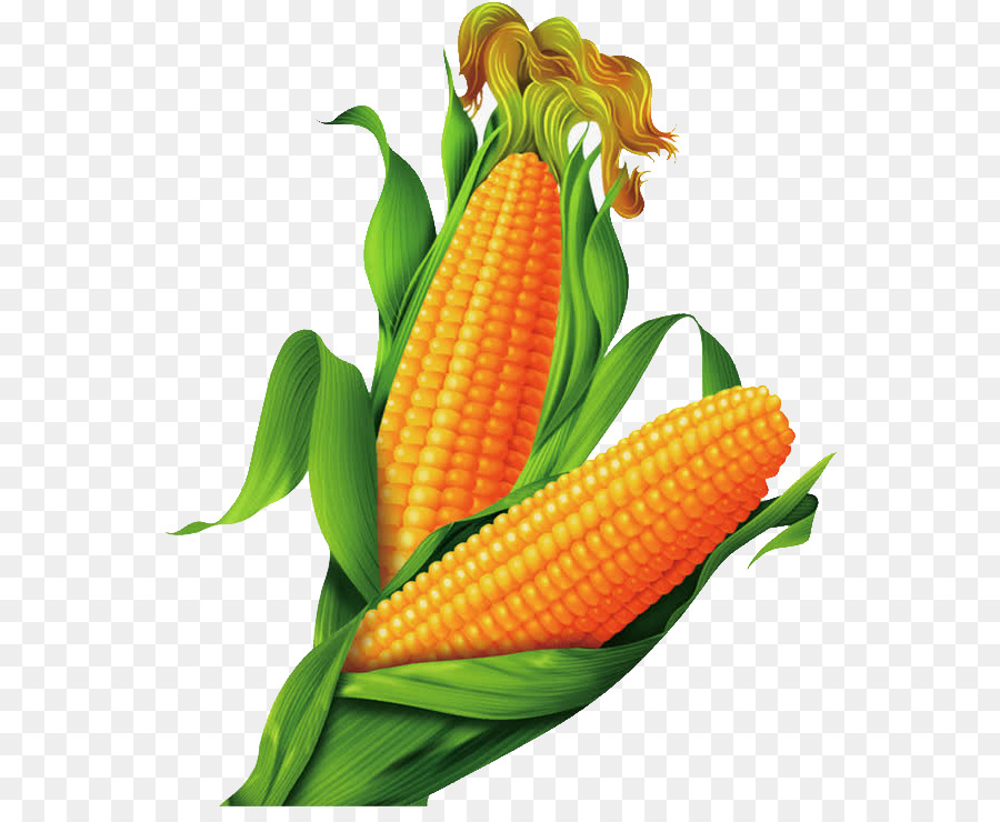 Detail Gambar Karikatur Jagung Nomer 16