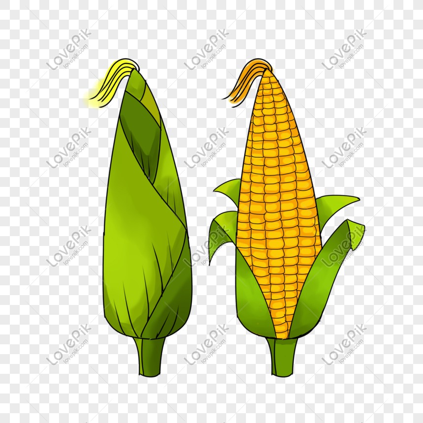 Detail Gambar Karikatur Jagung Nomer 19