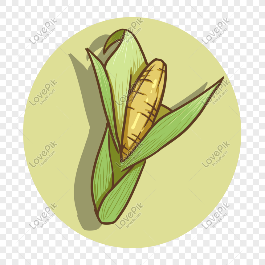 Detail Gambar Karikatur Jagung Nomer 31