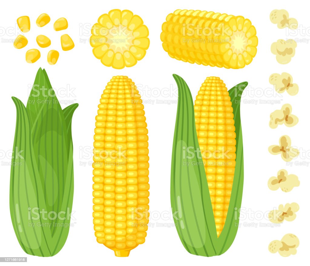 Detail Gambar Karikatur Jagung Nomer 32