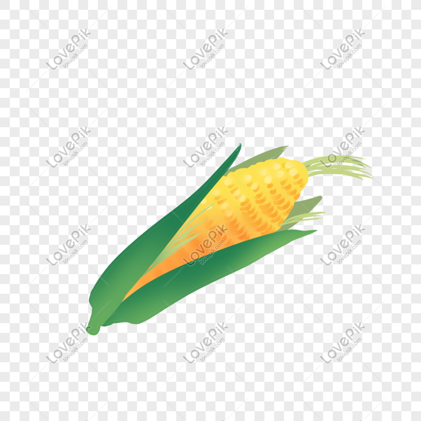 Detail Gambar Karikatur Jagung Nomer 36