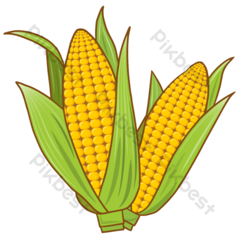 Detail Gambar Karikatur Jagung Nomer 5