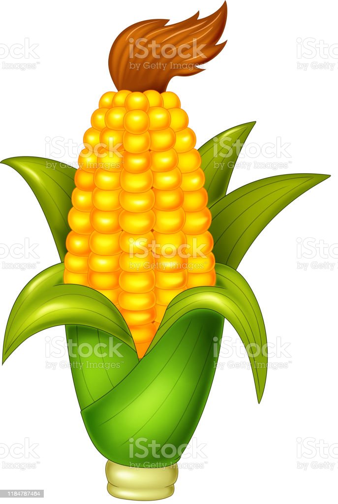 Detail Gambar Karikatur Jagung Nomer 39
