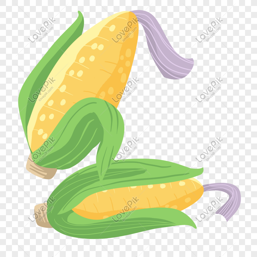 Detail Gambar Karikatur Jagung Nomer 43