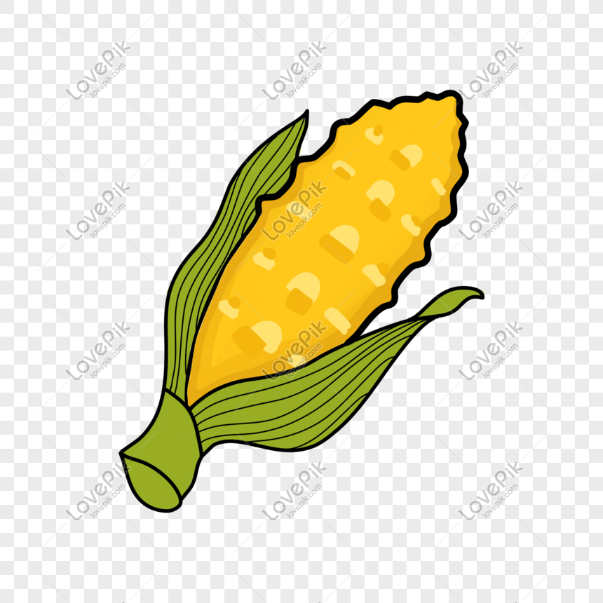 Detail Gambar Karikatur Jagung Nomer 44