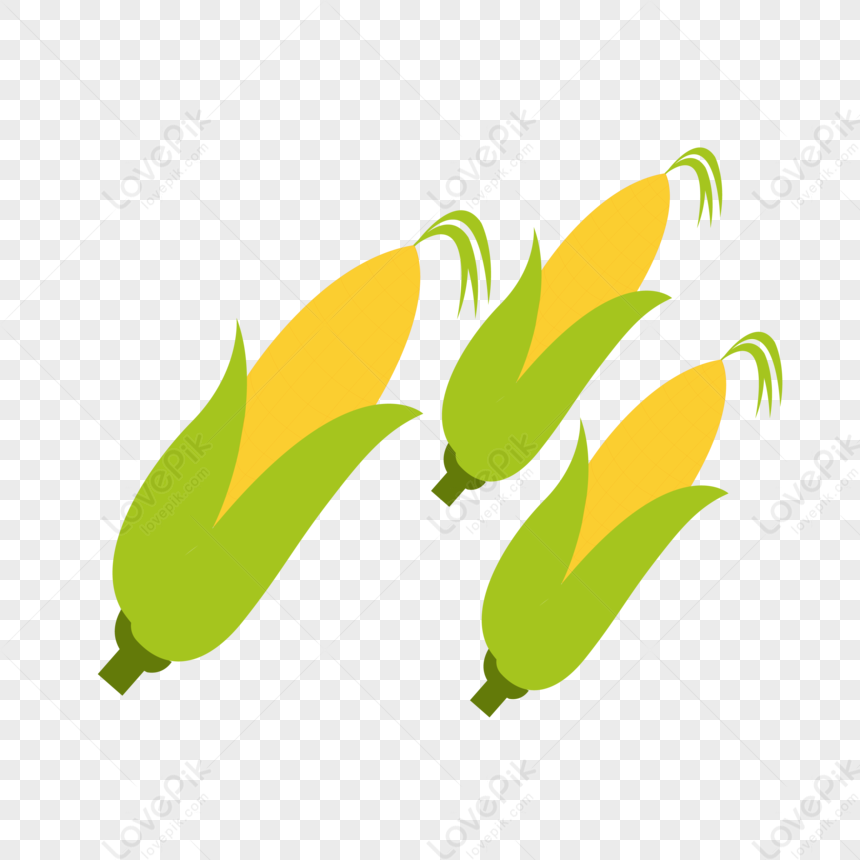 Detail Gambar Karikatur Jagung Nomer 48