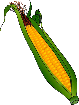 Detail Gambar Karikatur Jagung Nomer 56