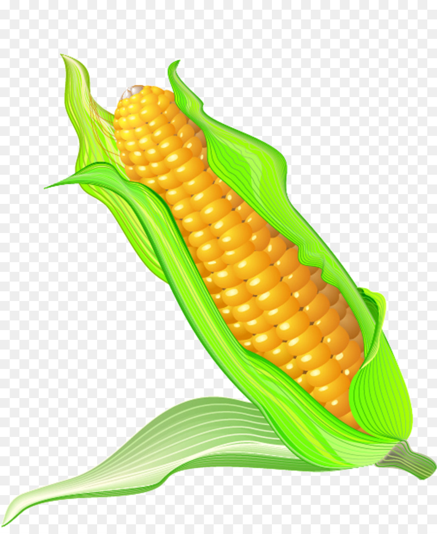 Detail Gambar Karikatur Jagung Nomer 8