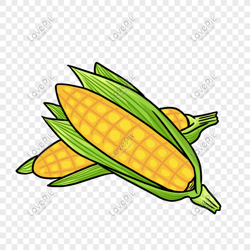 Detail Gambar Karikatur Jagung Nomer 10
