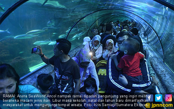 Detail Gambar Karikatur Ke Seaworld Nomer 16