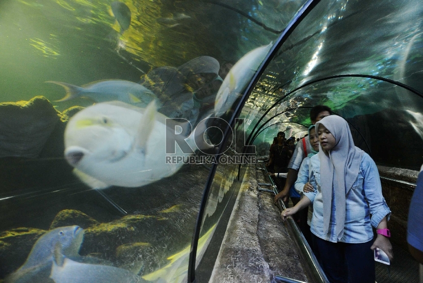 Detail Gambar Karikatur Ke Seaworld Nomer 23