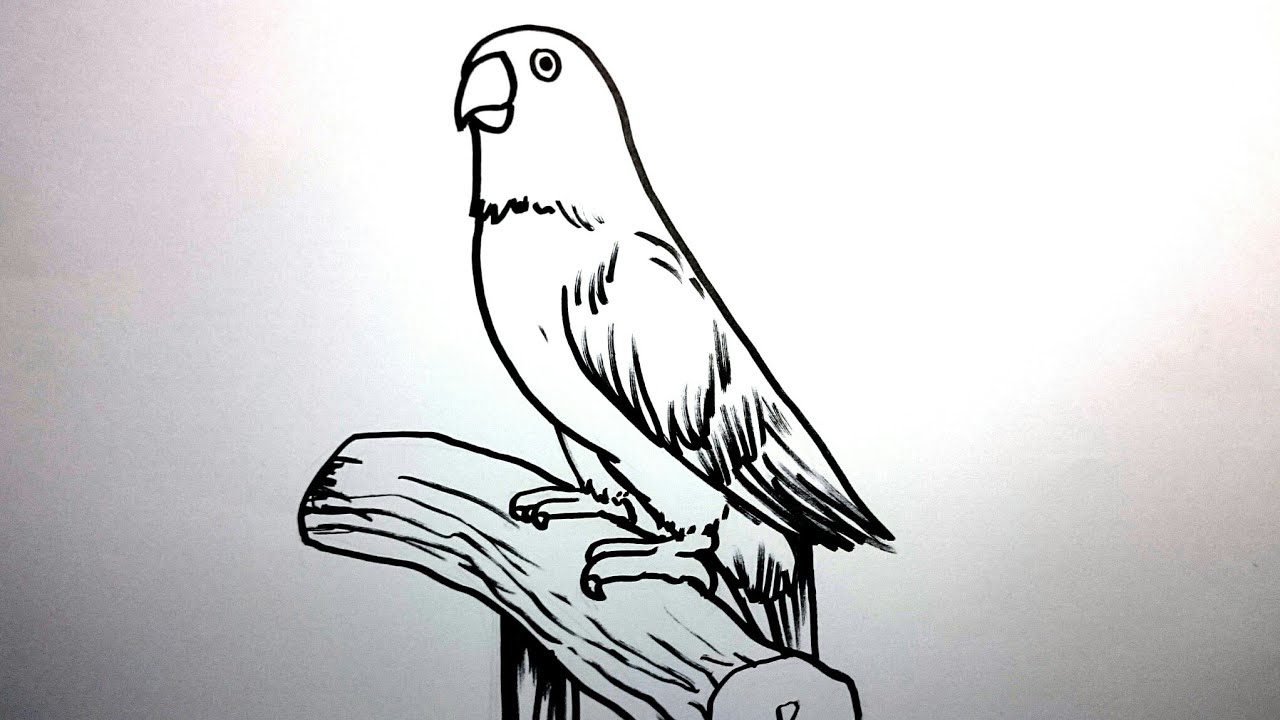 Detail Gambar Karikatur Lovebird Nomer 50