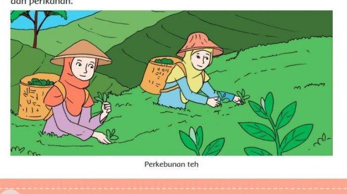 Detail Gambar Karikatur Perkebunan Nomer 12