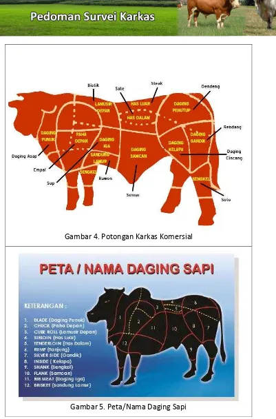 Detail Gambar Karkas Sapi Nomer 12