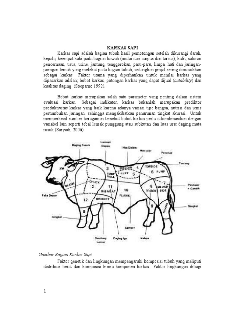 Detail Gambar Karkas Sapi Nomer 14