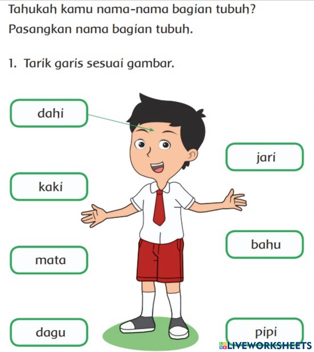 Detail Gambar Kartun Anggota Tubuh Nomer 2