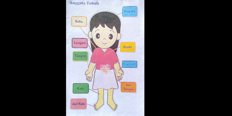 Detail Gambar Kartun Anggota Tubuh Nomer 54