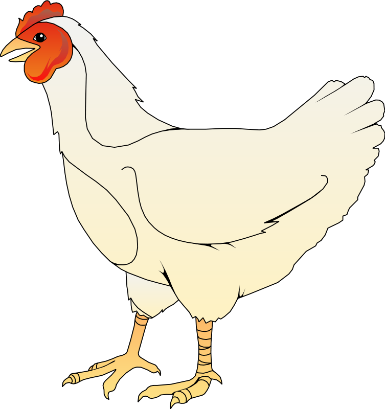 Detail Gambar Kartun Ayam Betina Nomer 6