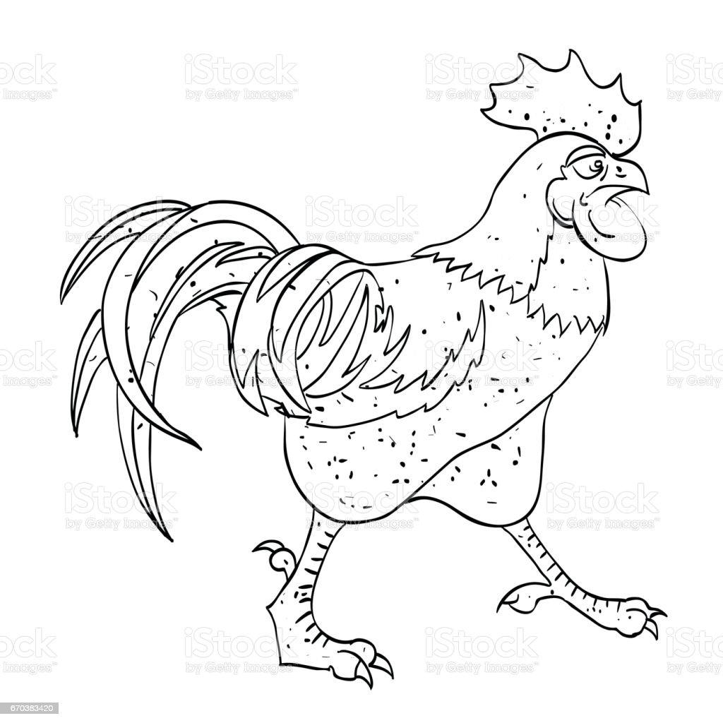 Detail Gambar Kartun Ayam Jantan Nomer 42
