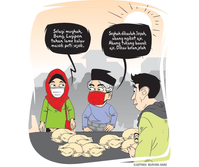 Detail Gambar Kartun Ayam Pedaging Nomer 53