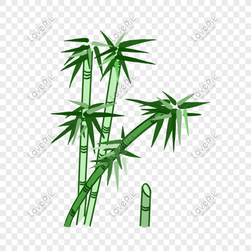 Detail Gambar Kartun Bambu Nomer 10