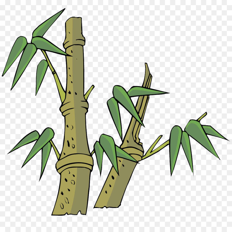 Detail Gambar Kartun Bambu Nomer 11