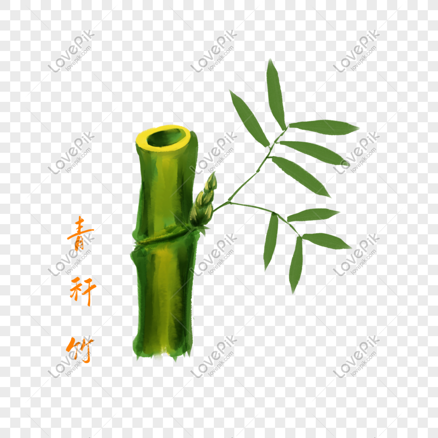 Detail Gambar Kartun Bambu Nomer 25