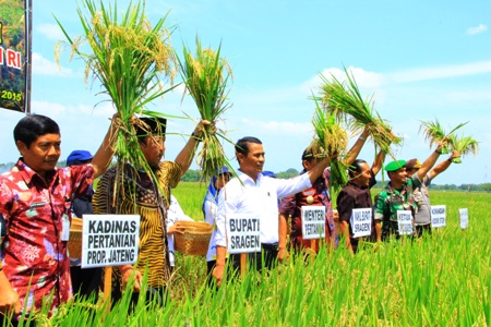 Detail Gambar Kartun Belajar Gambar Pertanian Nomer 45