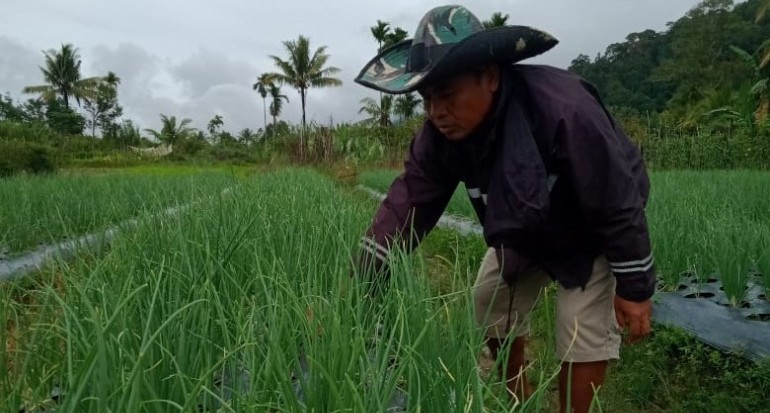 Detail Gambar Kartun Belajar Pekerja Perkebunan Nomer 22