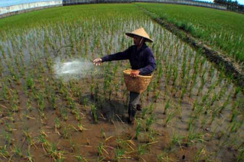 Detail Gambar Kartun Belajar Pekerja Perkebunan Nomer 31